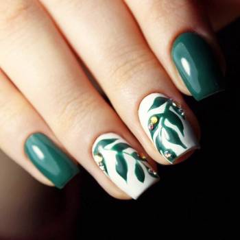 Фото с портфолио Анастасия Зинченко 