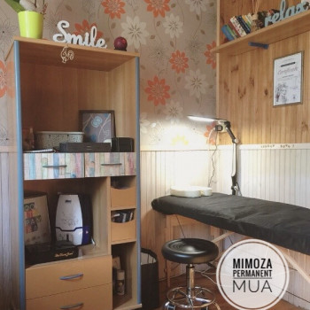 Пудровые /пиксель /омбрэ брови
                    Майстер перманентного макіяжу Александра Николаева Київ