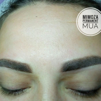 Пудровые /пиксель /омбрэ брови
                    Майстер перманентного макіяжу Александра Николаева Київ