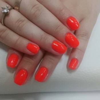 Amiral, Полтава Фото - 6