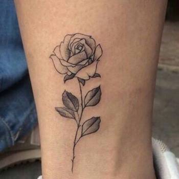 Amiral, Полтава Фото - 13