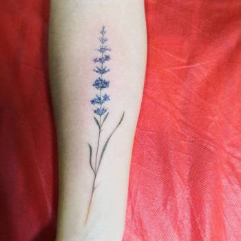 Bliss, Житомир Фото - 5