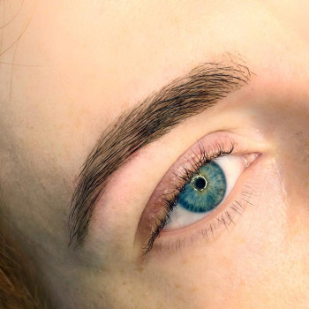 Моделирование бровей