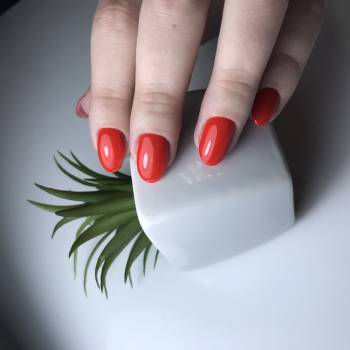 Ольга Поддубная , Днепр Фото - 6