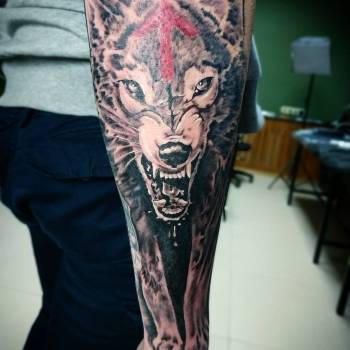 Фото с портфолио Евгений 