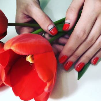 Фото с портфолио Lotos&LR