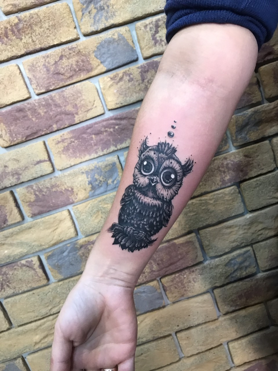 Сова, фото - Тату салон VeAn