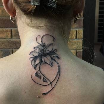 VeAn, Полтава Фото - 12