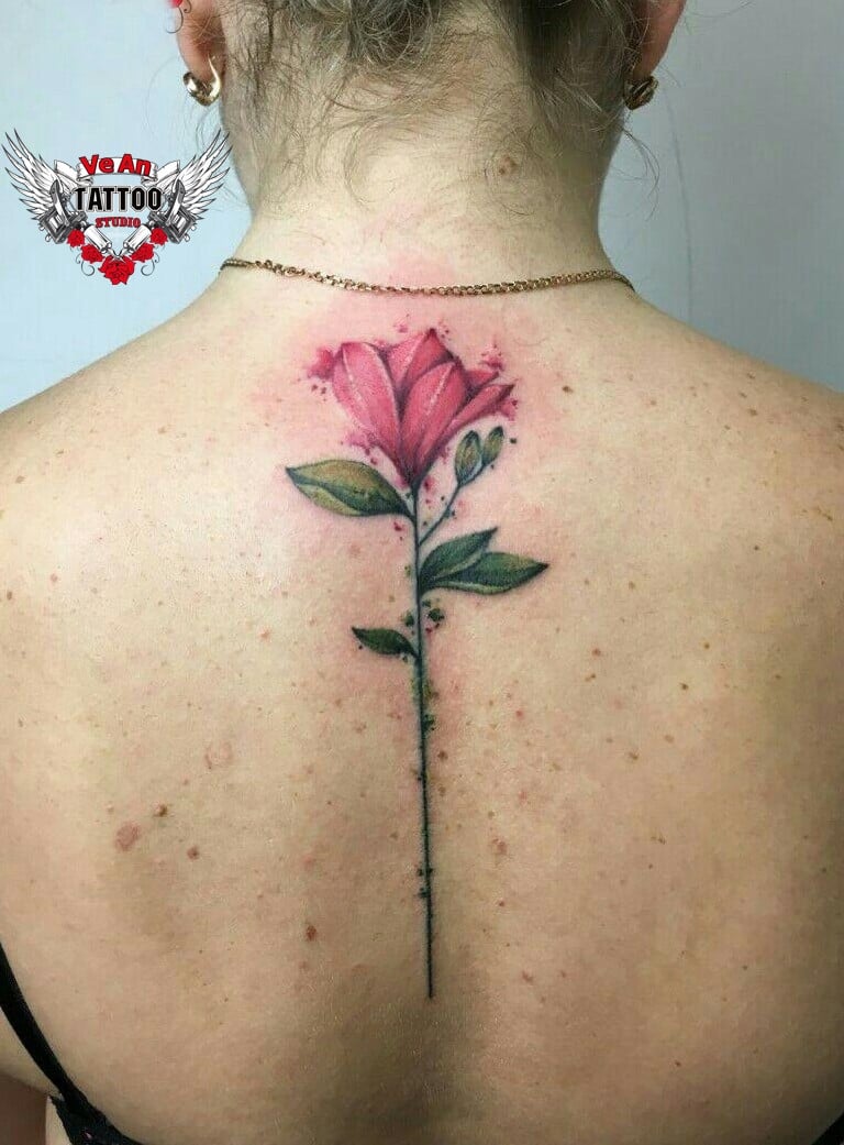 Женские цветные на спине, фото - Тату салон VeAn