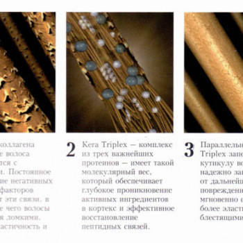 Фото с портфолио Людмила Марченко