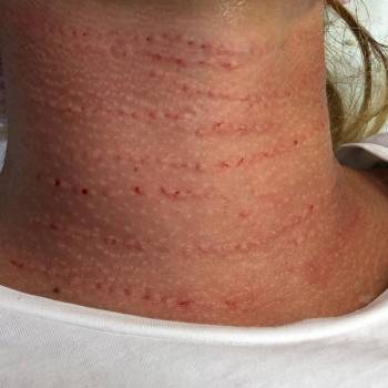 Фото с портфолио Галаева Зайнаб 