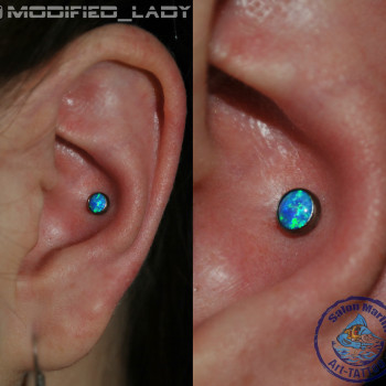 Пирсинг (любой сложности) и микродермалы
                    Тату салон Арт тату салон Marlin Запоріжжя