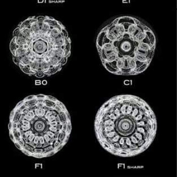Так меняются молекулы воды под воздействием звуков чаши