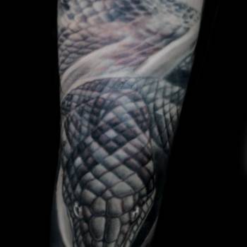 Александр Косенок , Одесса Фото - 76