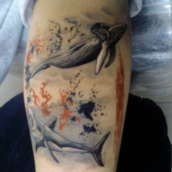 Александр Косенок , Одесса Фото - 83