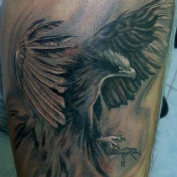 Александр Косенок , Одесса Фото - 1