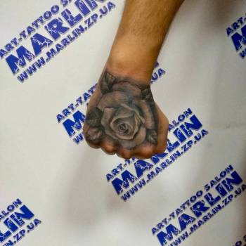 Фото с портфолио Владимир Суляев 