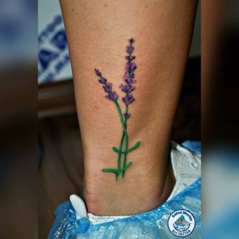 Фото с портфолио Владимир Суляев 