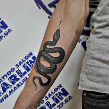 Фото с портфолио Владимир Суляев 