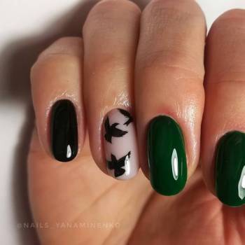 Фото с портфолио Яна Миненко 