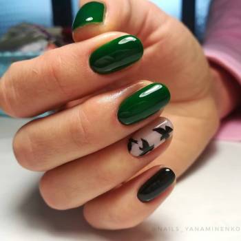 Фото с портфолио Яна Миненко 