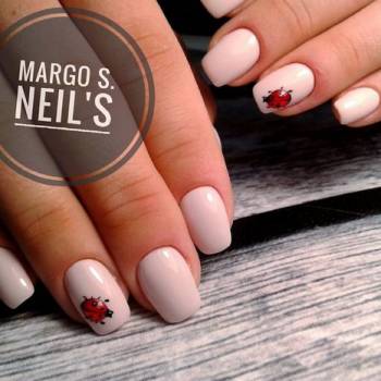 Фото с портфолио Маргарита Сидоренко 