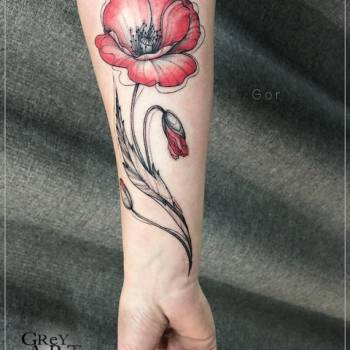 GReY Art, Сумы Фото - 23