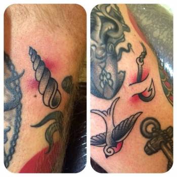 Фото с портфолио Ксения Волчок 