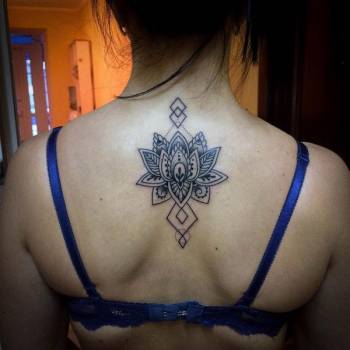 Фото с портфолио Ксения Волчок 