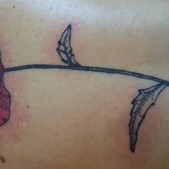 Сергей Романов , Київ Фото - 8