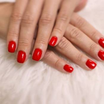 Anvers beauty, Черкассы Фото - 5