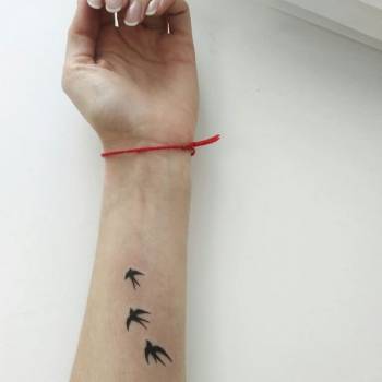 Фото с портфолио Юлия Кушченко 