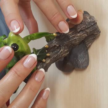 GOLDFISH ka, Київ Фото - 15