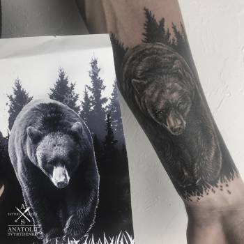 Анатолий Свириденко , Чернигов Фото - 5