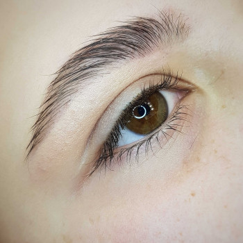 Коррекция+окрашивание бровей
                    Визажист Екатерина Онишко Харьков