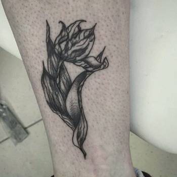 Татьяна Крафт , Киев Фото - 29