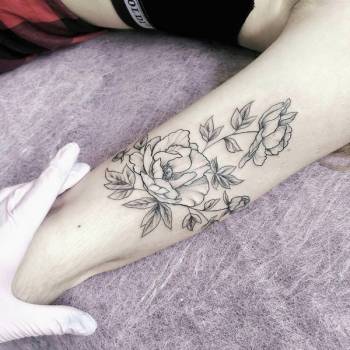 Фото с портфолио Анна Щусь 