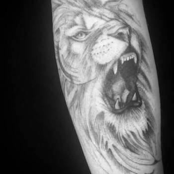 Ярослав Вишневський, Черкаси Фото - 5