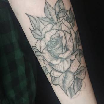 Ярослав Вишневський, Черкаси Фото - 10