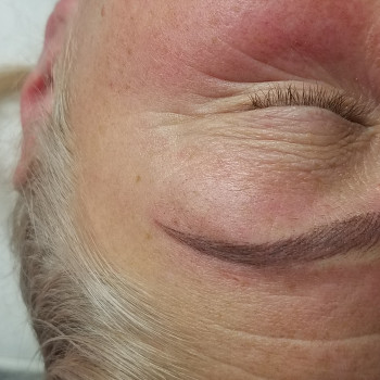 Мікроблейдинг апаратний, волоскова техніка
                    Майстер перманентного макіяжу Галина Житомир