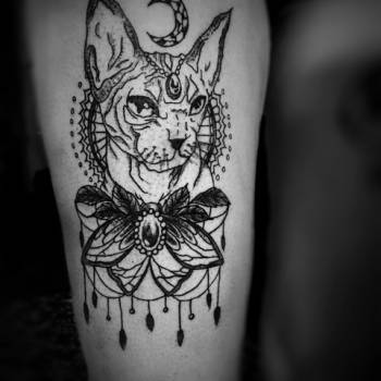 Фото с портфолио Дмитрий 