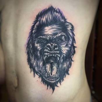 Фото с портфолио Дмитрий 