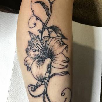 Фото с портфолио Дмитрий 