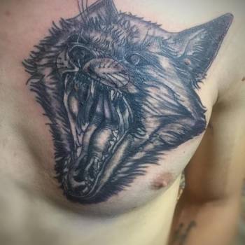 Фото с портфолио Дмитрий 