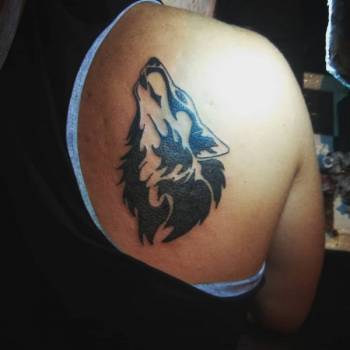 Фото с портфолио Morsus Risus