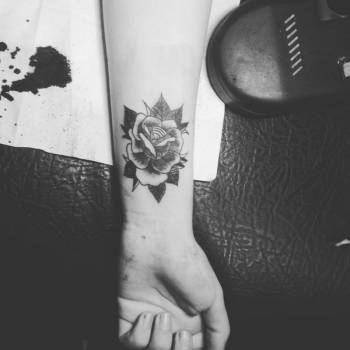 Фото с портфолио Morsus Risus