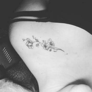 Фото с портфолио Morsus Risus