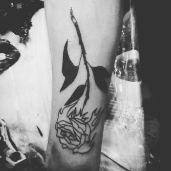 Фото с портфолио Morsus Risus