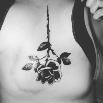 Фото с портфолио Morsus Risus