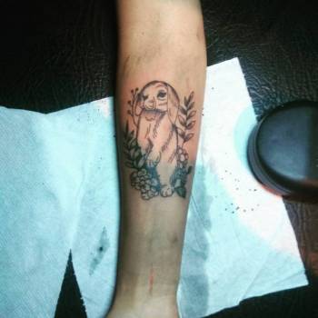 Фото с портфолио Morsus Risus